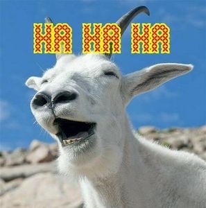 Meet your Posher, Dennis